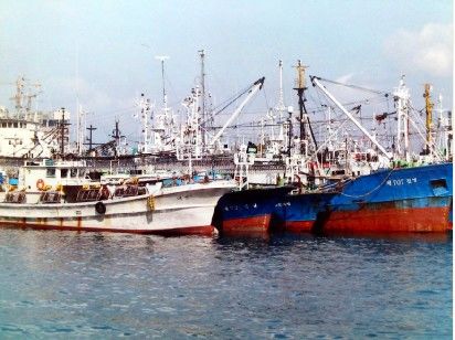 近海渔工—韩国正规工作签证