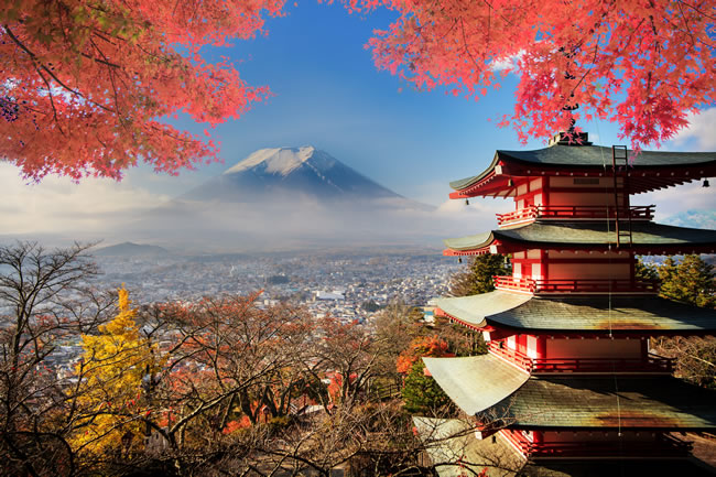 日本留学16年10月生成功案例